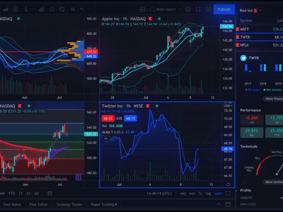 So You Wanna Be a Stock Sleuth? Demystifying the Investment Jungle