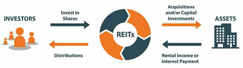 Reits